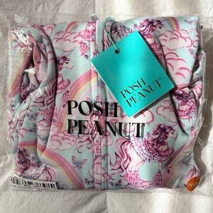 Cosette Rainbow Peplum Hoodie